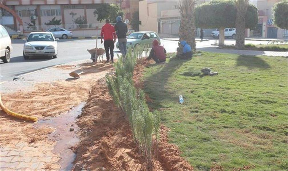 «بلدي ترهونة» يطلق الحملة الوطنية لتشجير المدينة وضواحيها