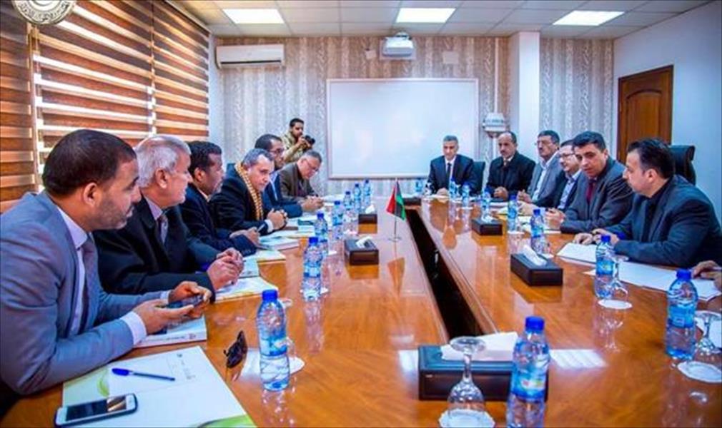 لجان مجلس الدولة الدائمة تبحث مع شكشك الأزمة المالية والاقتصادية