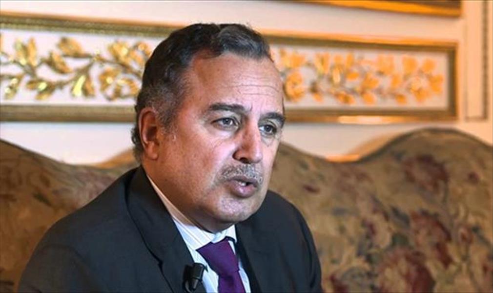 مصر تنتقد استمرار التواصل بين واشنطن والإخوان