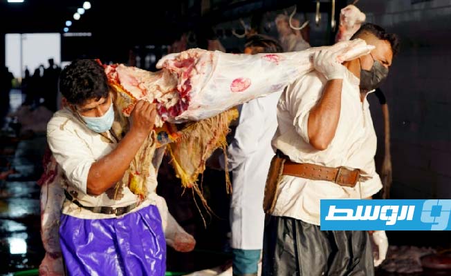«الصحة العراقية»: 13 وفاة بالحمى النزفية منذ مطلع 2023