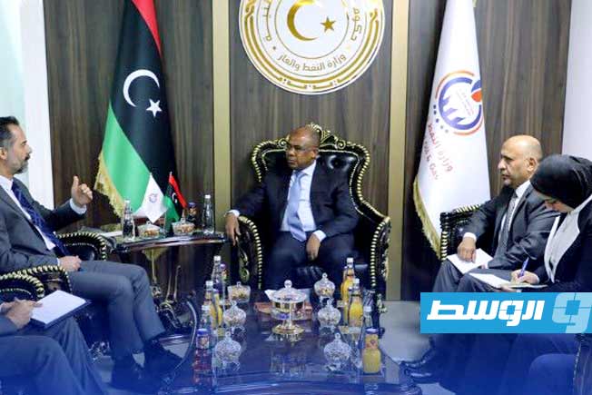 عبدالصادق يبحث توسيع التعاون بين ليبيا وتركيا في مجالات النفط والغاز
