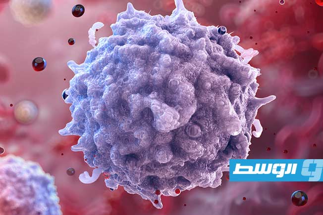 علماء يكتشفون آلية مبتكرة لتجديد الجهاز المناعي