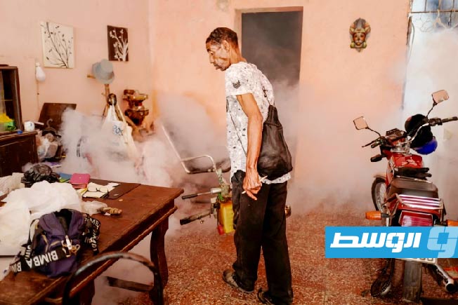تشيكونغونيا وحمى الضنك يوديان بحياة 21 طفلا في كوبا