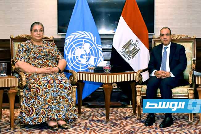 مصر تدعو إلى تبني مقاربة شاملة لمعالجة الأزمة الليبية
