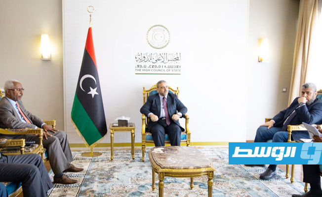 المشري يبحث الخطوط العريضة والعراقيل مع لجنة القاعدة الدستورية