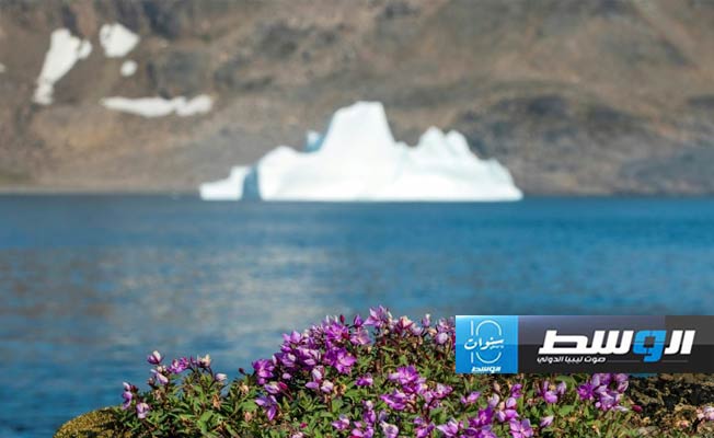 دراسة: غرينلاند كانت خالية من الجليد في الماضي الجيولوجي الحديث