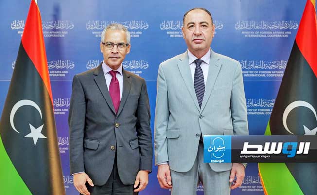 الباعور يبحث تعزيز العلاقات مع فرنسا وروسيا