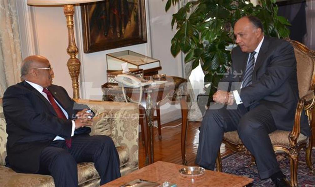 وزير خارجية مصر يستقبل المبعوثين العربي والأفريقي لليبيا