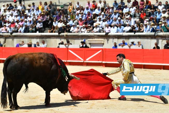 مكسيكو تحظر عروض مصارعة الثيران المؤذية للحيوانات