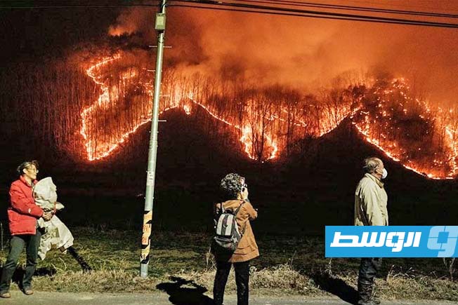 حرائق غابات في كوريا الجنوبية تخلّف 18 وفاة وأضرارا غير مسبوقة