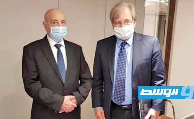 نولارند: بحثت مع عقيلة صالح في القاهرة «حلا منزوع السلاح في سرت والجفرة»