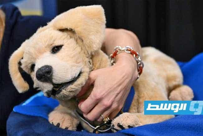 منها حيوانات آلية وأحمر شفاه.. تقنيات مخصصة لكبار السن في معرض «لاس فيغاس»