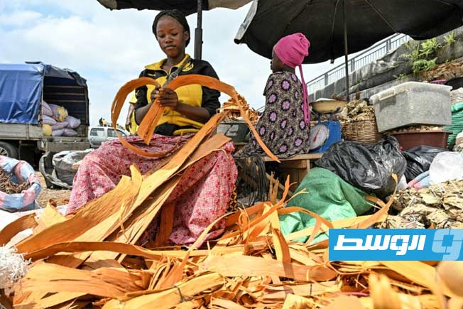 تحذيرات من ارتفاع وفيات الملاريا.. وأفريقيا الأكثر تضررا
