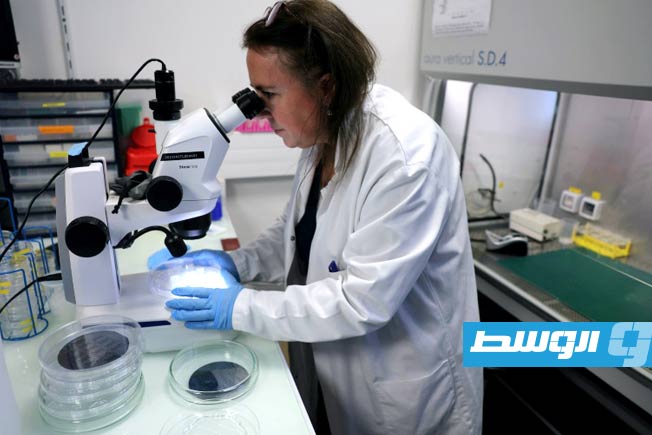 دراسة: بعض أنواع السرطان لا تزال تقاوم العلاجات الموجّهة الثورية
