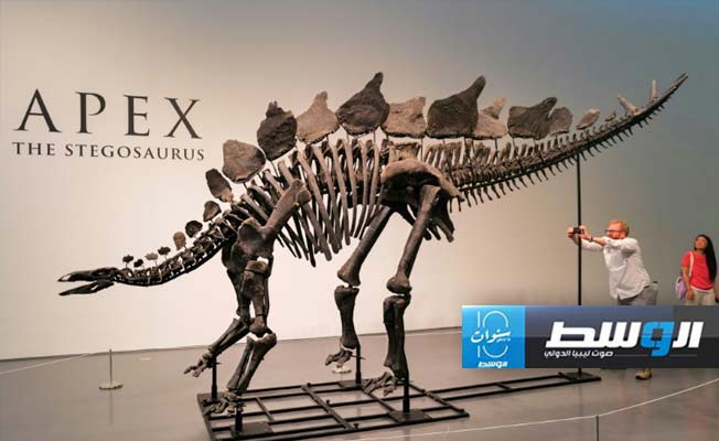 أكبر هيكل عظمي لديناصور سيُطرح للبيع