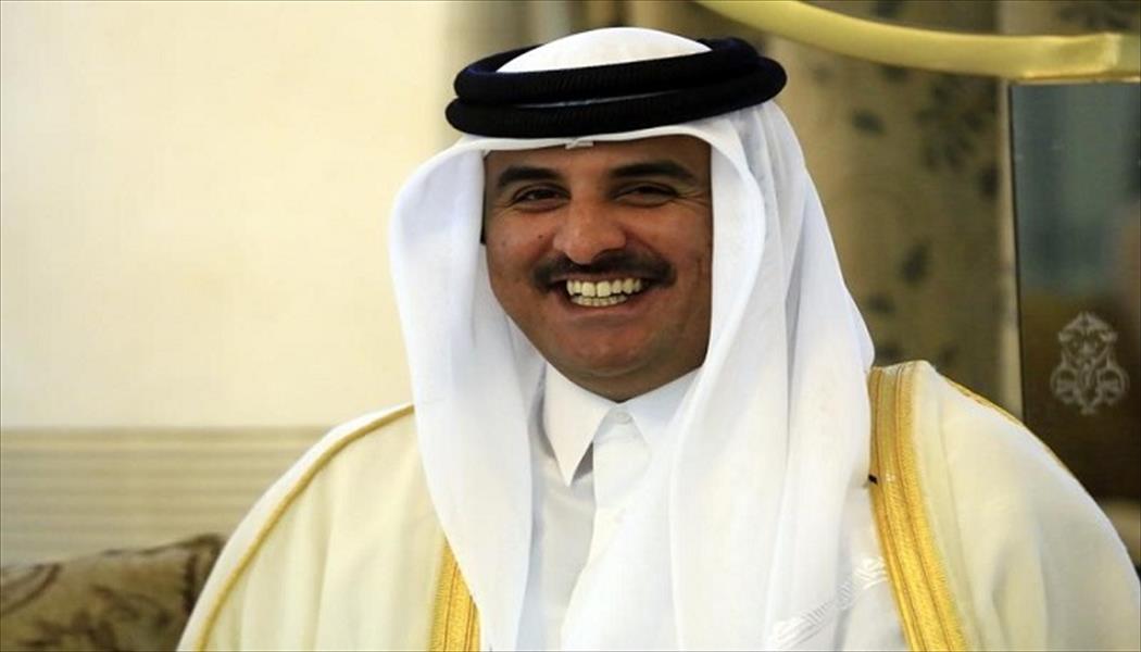 رويترز: أمير قطر يحضر القمة الاقتصادية في مصر