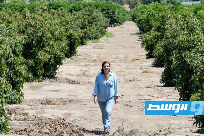 مزارعون ينتقدون حملة ترامب ضد الهجرة لأضرارها على الأمن الغذائي