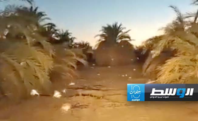 الجراد الأفريقي يهاجم 6 بلديات ليبية.. ومطالبات بتدخل حكومي عاجل