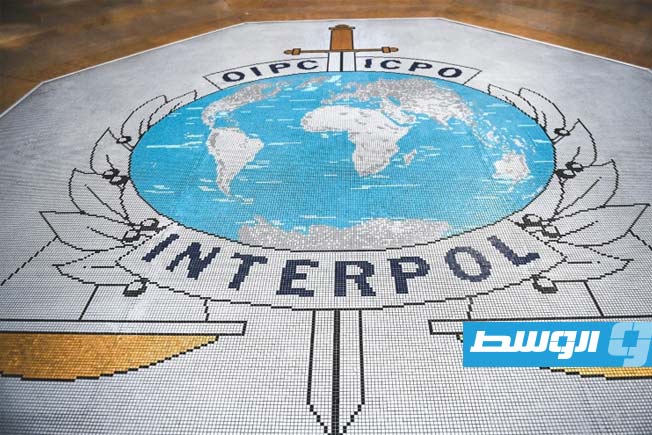 270 موقوفاً في عملية لمكافحة تهريب الأدوية نفذتها الإنتربول في 90 بلداً