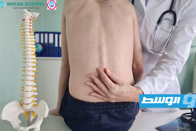 علماء ينجحون في تحفيز تجدد الحبل الشوكي البشري مخبريًا