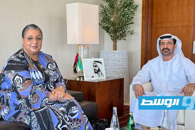 المبعوثة الأممية تبحث مع مسؤول عسكري إماراتي التطورات الأمنية في ليبيا