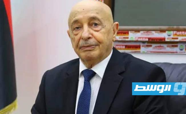 رسالة إلى عقيلة: 27 حزبا ومؤسسة من المجتمع المدني تقترح تعديلات على قانوني انتخاب الرئيس ومجلس النواب