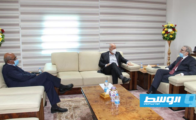 صنع الله يناقش مع مدير «ريبسول» الإسبانية مشروع الطاقة الشمسية بحقل الشرارة