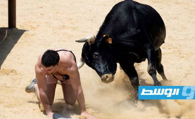 عودة الجدل بشأن أنشطة إطلاق الثيران في إسبانيا