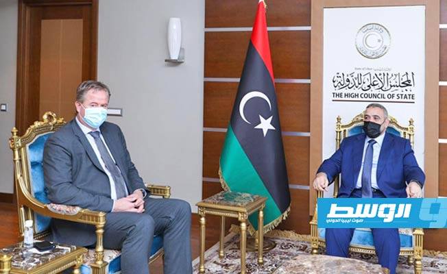 خلال لقائه سفير هولندا.. المشري ينوه إلى إمكانية الاستفتاء على الدستور في 17 فبراير المقبل