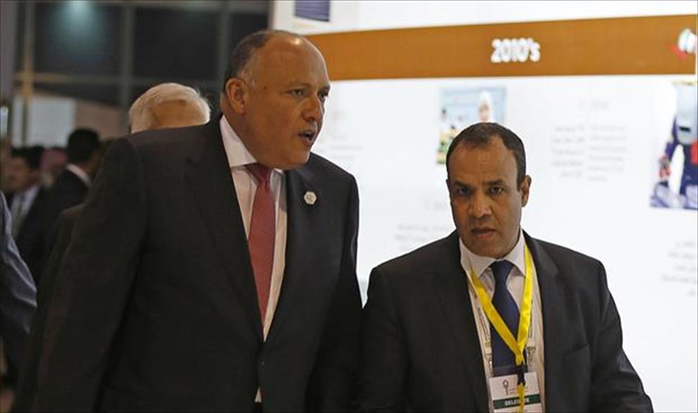 شكري يبحث استضافة مصر قمة التكتلات الاقتصادية الأفريقية