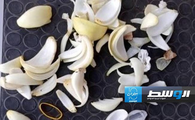 واقعة غربية.. لاعبو منتخب غانا ينثرون الثوم بملعب شهداء بنينا قبل مواجهة السودان