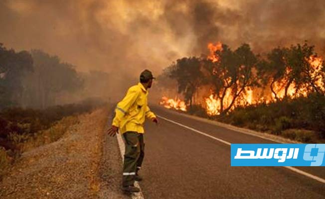 قتيل وجريح في حريق غابات في المغرب