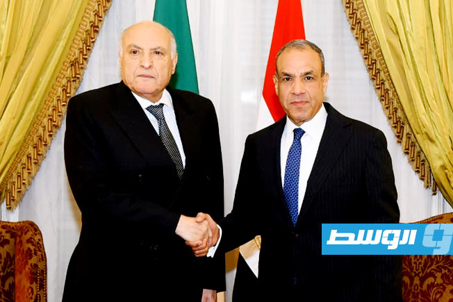 مصر والجزائر تؤكدان دعمهما الكامل لمسار الحل الليبي - الليبي