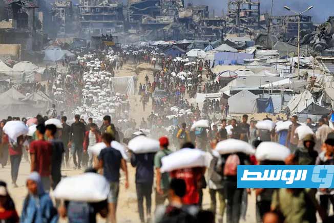 دبلوماسيون أوروبيون يطالبون بتعليق تصدير الأسلحة إلى «إسرائيل» بشكل أحادي لإنهاء حرب الإبادة