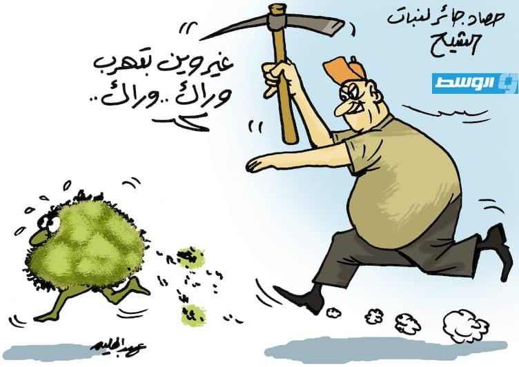 كاريكاتير حليم - الحصاد الجائر يحدد نبات «الشيح» في ليبيا