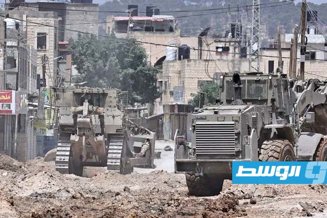 قوات الاحتلال تقتلع المئات من أشجار الزيتون بالضفة الغربية