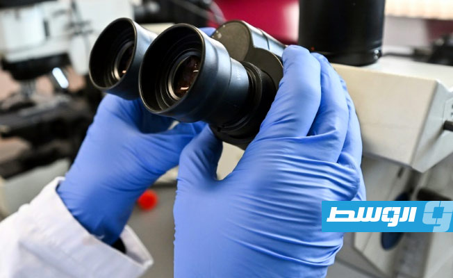 الطبيعة مصدر إلهام لاكتشافات علمية مذهلة