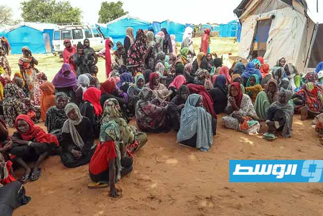 ضربة بمسيَّرة تودي بحياة 14 شخصًا على الأقل في سوق بالسودان على الحدود مع تشاد