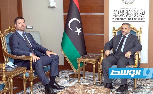 المشري وسفير التشيك يتبادلان وجهات النظر حول الحلول المرجوة من مؤتمري «برلين2» و«جنيف» المقبل