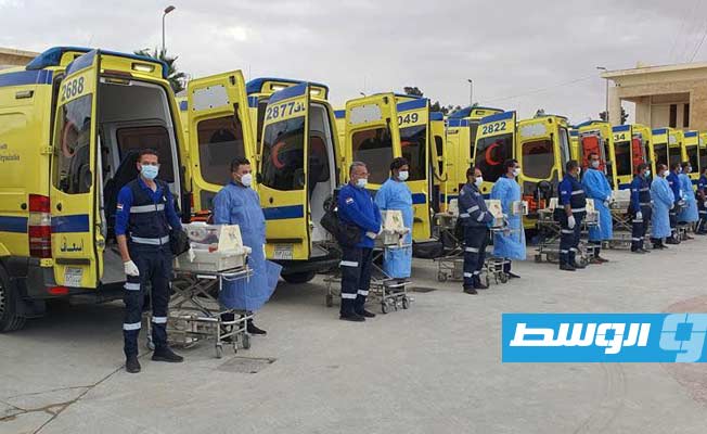 مصر تستقبل 28 طفلًا فلسطينيًا من المبتسرين عبر رفح