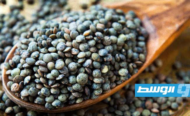 أفضل مصادر البروتين النباتي.. تعرف عليها