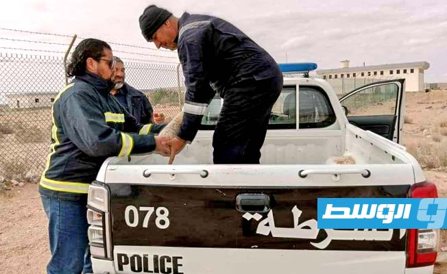 Unexploded shells recovered near Bani Walid Airport