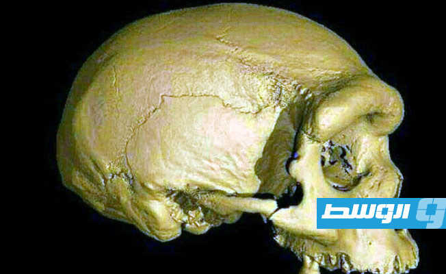 جنس بشري جديد أقرب إلينا من إنسان نياندرتال