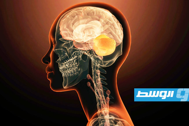 دراسة: جين واحد قد يكون المفتاح لفهم اضطرابات الصحة العقلية المبكرة