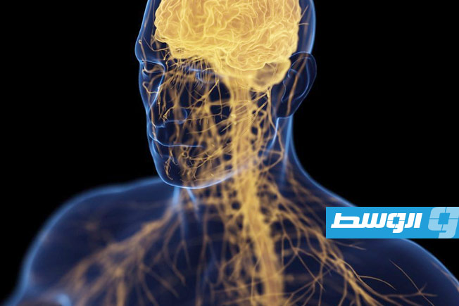 دراسة صينية تكشف عن رابط «تبادلي» بين الاكتئاب وهشاشة العظام