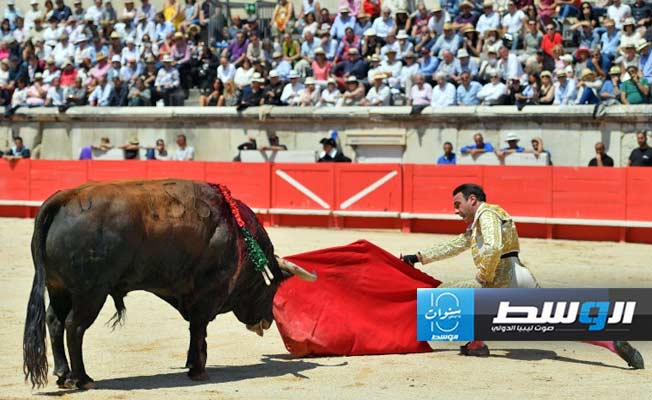 إلغاء جائزة مصارعة الثيران تثير نزالا سياسيا في إسبانيا