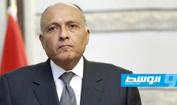 شكري يؤكد ضرورة وقف إطلاق النار في ليبيا لإفساح المجال للمفاوضات السياسية