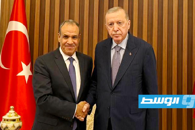 إردوغان يبحث مع وزير الخارجية المصري تطورات الأوضاع في غزة والمستجدات في ليبيا والسودان