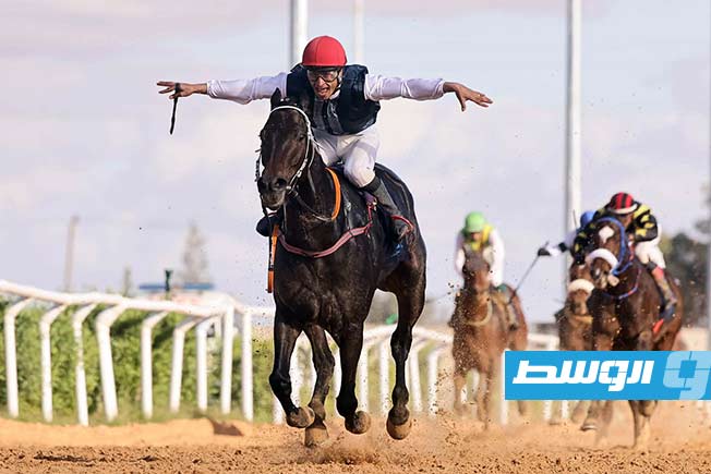 صور.. منافسات قوية في الأسبوع الـ41 لسباقات الخيول