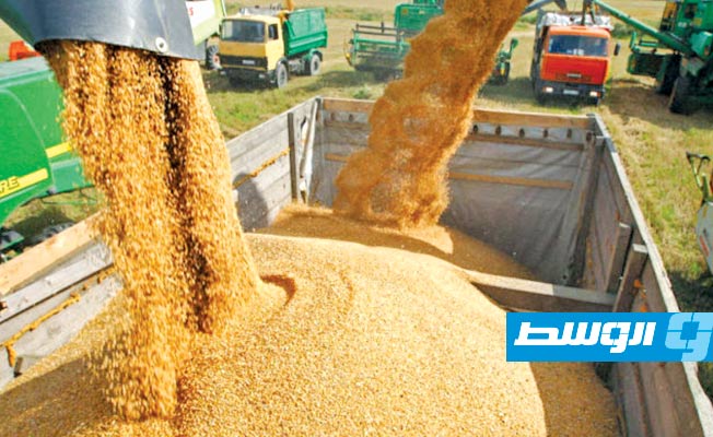 بولندا والمجر وسلوفاكيا تفرض حظرا على الحبوب الأوكرانية